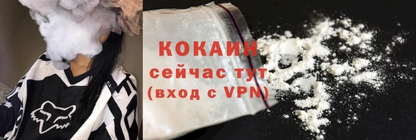 индика Зеленодольск