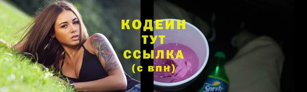 индика Зеленодольск