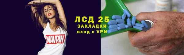 прущие грибы Дрезна