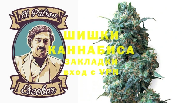 индика Зеленодольск