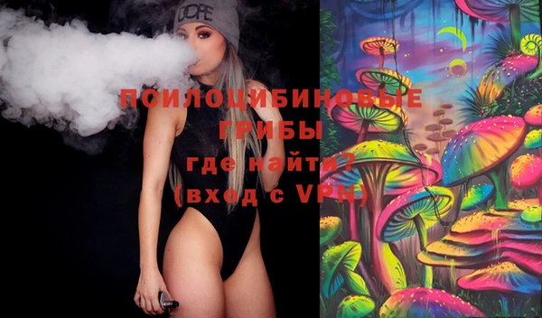 индика Зеленодольск