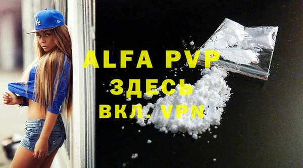 индика Зеленодольск