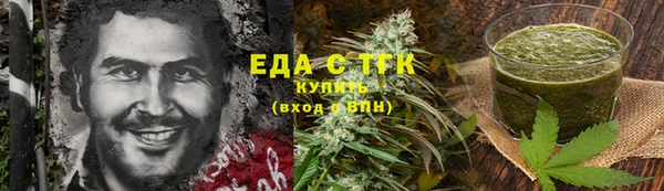 индика Зеленодольск
