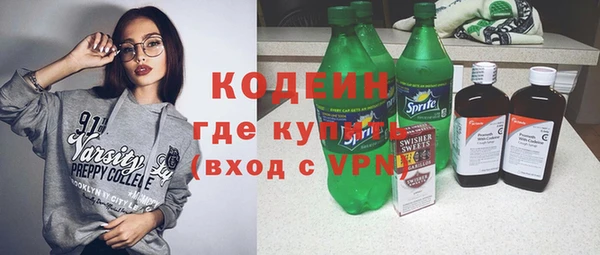 индика Зеленодольск