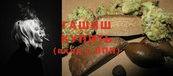 индика Зеленодольск