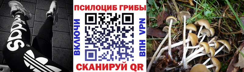 Псилоцибиновые грибы прущие грибы  Инта 